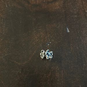 Super pretty Pandora charm - like new!